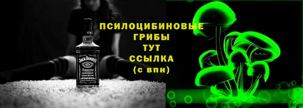 индика Аркадак