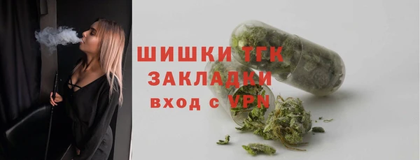 индика Аркадак