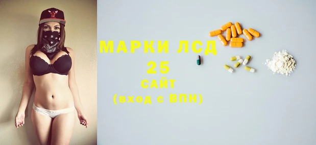 индика Аркадак