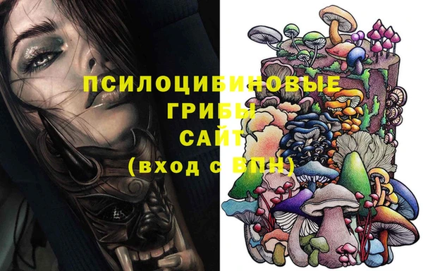 индика Аркадак