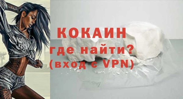 индика Аркадак
