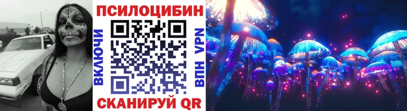 Галлюциногенные грибы Psilocybe  Салаир 